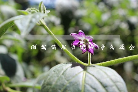 浦发信用卡逾期多久还全款 浦发信用卡逾期多久还全款