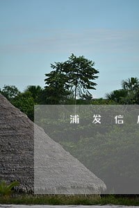 浦发信用卡逾期多年协商还款 浦发信用卡逾期多年协商还款