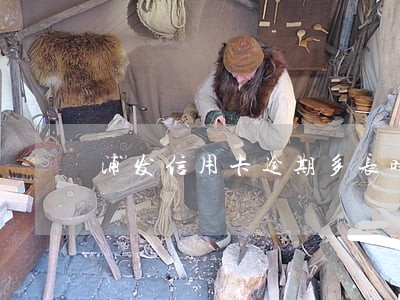 浦发信用卡逾期多长时间会抓人