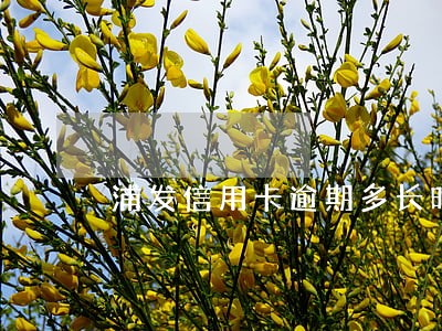浦发信用卡逾期多长时间会消除 浦发信用卡逾期多长时间会消除