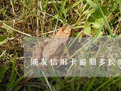 浦发信用卡逾期多长时间去家访 浦发信用卡逾期多长时间去家访