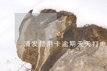 浦发信用卡逾期天天打电话来 浦发信用卡逾期天天打电话来