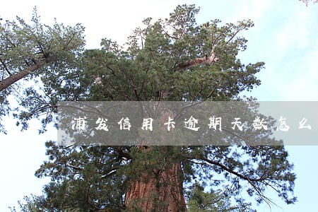 浦发信用卡逾期天数怎么算
