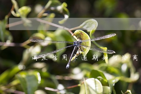 浦发信用卡逾期如何协商还本 浦发信用卡逾期如何协商还本