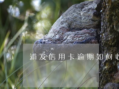 浦发信用卡逾期如何收费 浦发信用卡逾期如何收费