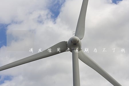 浦发信用卡逾期存不了钱