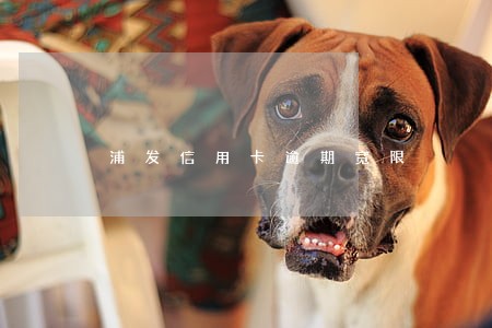 浦发信用卡逾期宽限
