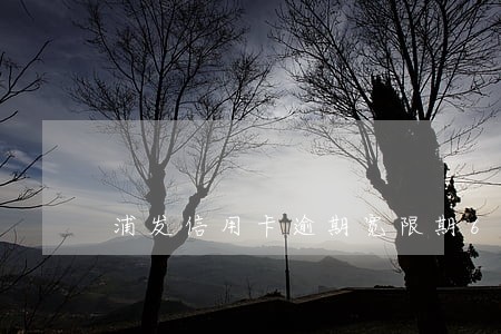 浦发信用卡逾期宽限期6 浦发信用卡逾期宽限期6