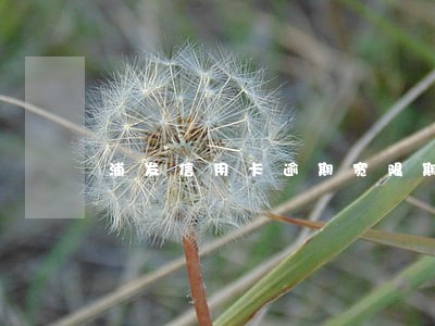 浦发信用卡逾期宽限期多久 浦发信用卡逾期宽限期多久