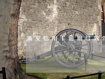 浦发信用卡逾期导致停卡