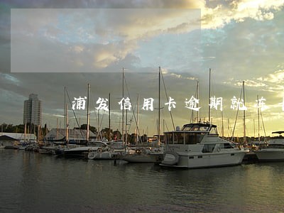 浦发信用卡逾期就冻卡 浦发信用卡逾期就冻卡