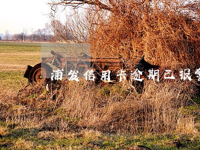 浦发信用卡逾期已报警 浦发信用卡逾期已报警