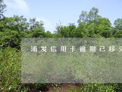 浦发信用卡逾期已移交当地 浦发信用卡逾期已移交当地