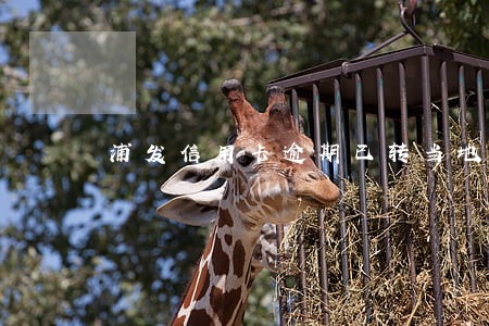 浦发信用卡逾期已转当地报案 浦发信用卡逾期已转当地报案