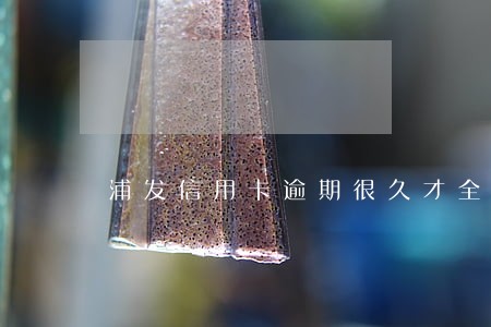 浦发信用卡逾期很久才全还清