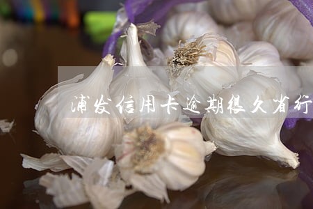 浦发信用卡逾期很久省行