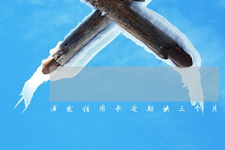 浦发信用卡逾期快三个月了 浦发信用卡逾期快三个月了