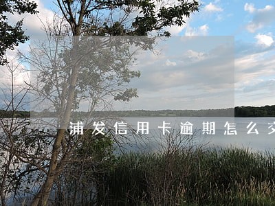 浦发信用卡逾期怎么交费