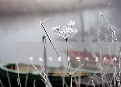 浦发信用卡逾期怎么处理最好 浦发信用卡逾期怎么处理最好