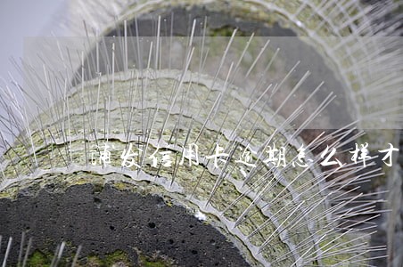 浦发信用卡逾期怎么样才能协商 浦发信用卡逾期怎么样才能协商