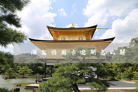 浦发信用卡逾期怎么解 浦发信用卡逾期怎么解