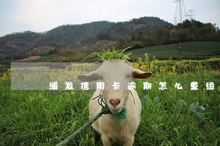 浦发信用卡逾期怎么重组 浦发信用卡逾期怎么重组