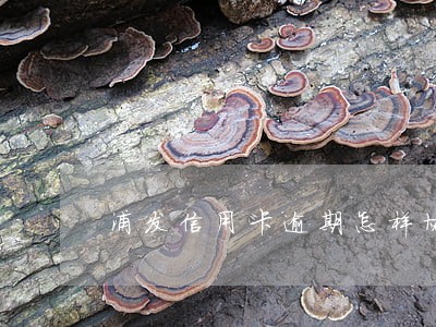 浦发信用卡逾期怎样协商还本金 浦发信用卡逾期怎样协商还本金