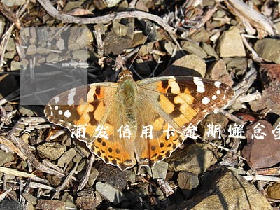 浦发信用卡逾期懈怠金 浦发信用卡逾期懈怠金