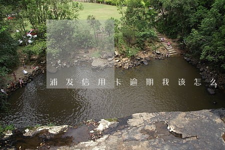 浦发信用卡逾期我该怎么办
