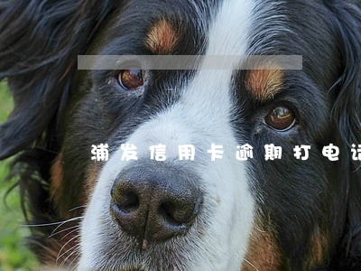 浦发信用卡逾期打电话了会怎样 浦发信用卡逾期打电话了会怎样