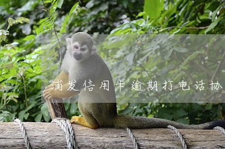 浦发信用卡逾期打电话协商 浦发信用卡逾期打电话协商