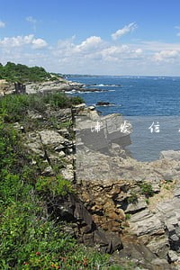 浦发信用卡逾期打电话核实地址