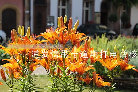 浦发信用卡逾期打电话核对地址 浦发信用卡逾期打电话核对地址