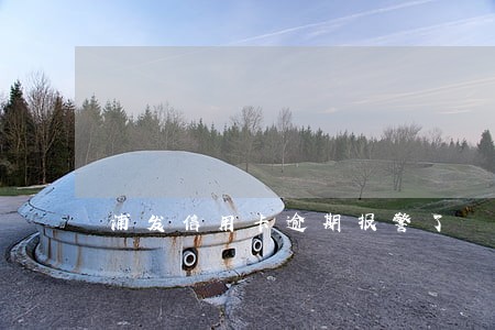 浦发信用卡逾期报警了