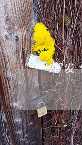 浦发信用卡逾期收费 浦发信用卡逾期收费