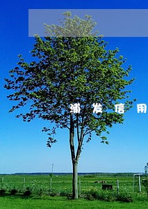 浦发信用卡逾期无法协商怎么办 浦发信用卡逾期无法协商怎么办