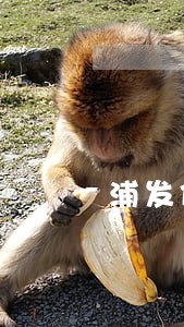 浦发信用卡逾期晚上十点前还款 浦发信用卡逾期晚上十点前还款
