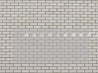 浦发信用卡逾期晚两天 浦发信用卡逾期晚两天