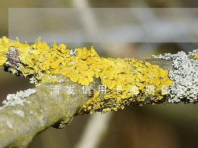 浦发信用卡逾期最多协商能几年 浦发信用卡逾期最多协商能几年