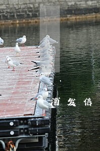 浦发信用卡逾期本金五万 浦发信用卡逾期本金五万
