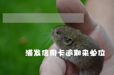 浦发信用卡逾期来单位 浦发信用卡逾期来单位