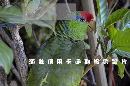 浦发信用卡逾期核销是什么意思 浦发信用卡逾期核销是什么意思