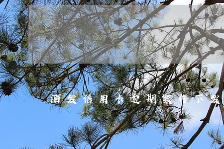 浦发信用卡逾期案件下发到账单 浦发信用卡逾期案件下发到账单
