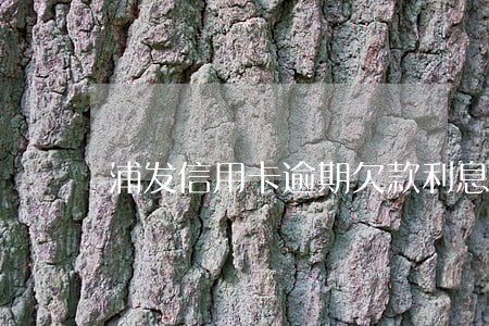 浦发信用卡逾期欠款利息怎么算