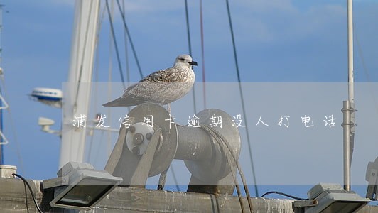 浦发信用卡逾期没人打电话