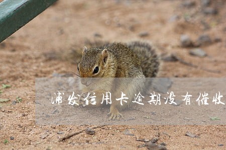 浦发信用卡逾期没有催收了 浦发信用卡逾期没有催收了