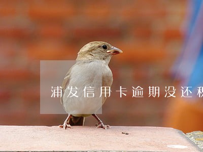 浦发信用卡逾期没还积分清零 浦发信用卡逾期没还积分清零