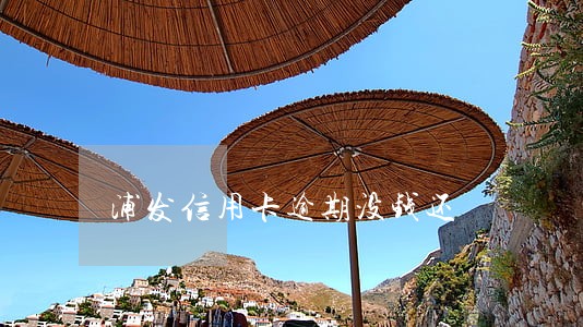浦发信用卡逾期没钱还 浦发信用卡逾期没钱还