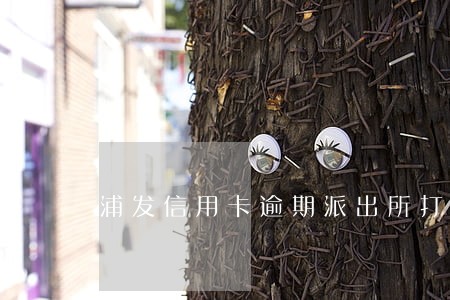 浦发信用卡逾期派出所打电话