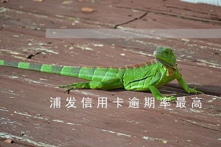 浦发信用卡逾期率最高 浦发信用卡逾期率最高